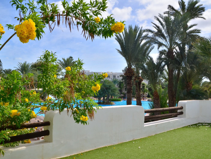 Nature et Jardin - Image 2