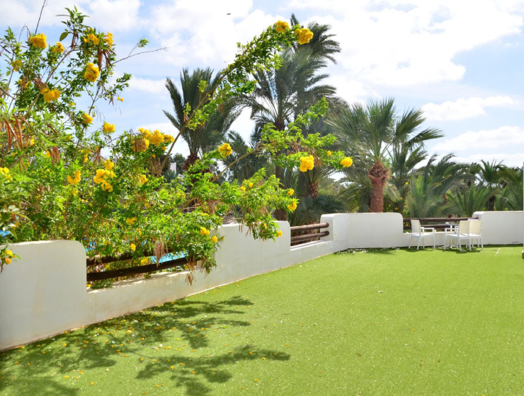 Nature et Jardin - Image 1